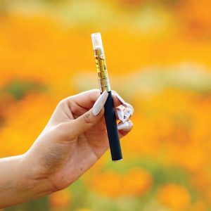 Disposable Weed Pen: Common Questions About Features, Usage, and Responsible Selection